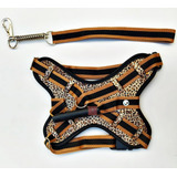 Porte