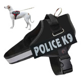 K9