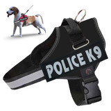 K9