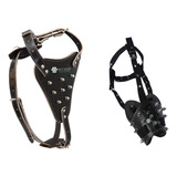 Peitoral Para Cães Pastor Alemão Focinheira Spikes