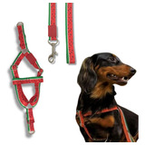 Peitoral Para Cães Tamanho Médio Raça Dachshund