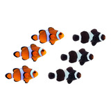 Peixes