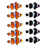 Peixe Palhaço Nemo + Black - 10 Peixes