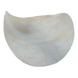 Pele Couro Boi Natural Disco 45cm Tambor Conga Atabaque