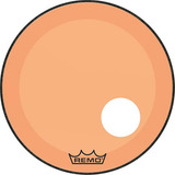 P3-1318-ct-org
