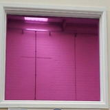Película Insulfilm Rosa Pink Refletiva 1.52m/l X 2.00m/c 