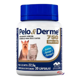Pelo E Derme 750mg Dha+epa 60 Caps - Vetnil