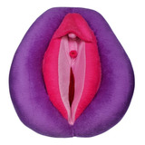 Pelúcia Didática Anatomia Genital Feminino