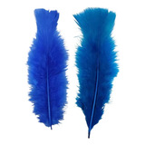 Pena De Galinha Kit 2 Cores Penas Coloridas 200 Und Arte Cor Azul