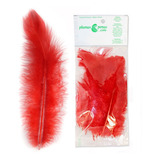 Penas Coloridas 200 Und Artesanato Pena De Galinha Cor Vermelho