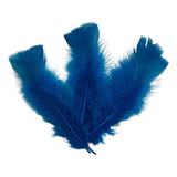 Penas Coloridas 200 Uni Arranjos Com Bexigas E Balões Cor Azul-turquesa