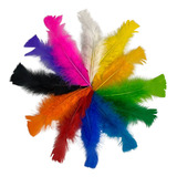 Uni)
