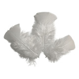 Penas De Galinha Fuê Carnaval Peninhas Pacote 25g Branco