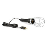 110v/220v