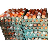 Pente Com 30 Ovos Caipira(frete Retirar