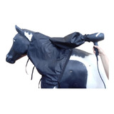 Cavalo