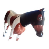 Pescoceira Para Cavalo Queima Gordura Em Neoprene Reforçada 