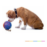 Pet Ball Jogo Interativo Brinquedo Games Pra Cães Gatos 15cm