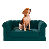 Gato/cachorro