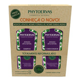 Phytoervas Kit Antiqueda Bétula Natural Sh+co