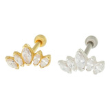 Conch