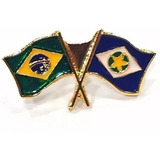 Pim Bótom Broche Pin Bandeira Estado Do Mato Grosso Folheado