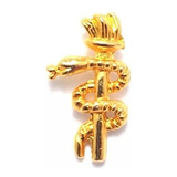 Pim Bótom Broche Pin Odontologia Dentista Folheado A Ouro