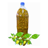 Pimenta Cumari Verde Tradicional Em Conserva Salmoura Em Pet