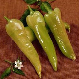 Pimenta Doce Comprido Conserva- 1g +-