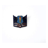 Afjrotc