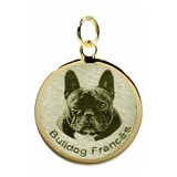 Pingente Folheado A Ouro Pet Shop Bulldog Francês Cachorro
