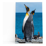 Pinguins Animais Oceano Mar Paisagem Quadro Canvas 60x40cm