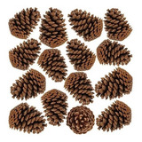 Pinha Natural Artesanato Decoração Enfeite Natal 120 Unds