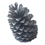 Pinhas Natural Para Decoração Árvore De Natal Kit 8 Peças 