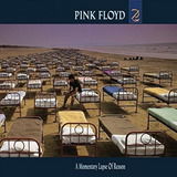 Pink Floyd - A Momentary Lapse