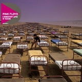Pink Floyd Um Lapso Momentâneo De