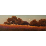 Pintura Óleo Sobre Tela -paisagem -irisney Bosco 35 X100 Cm 