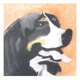 Pinturade Um Bernece Mountain Dog ,boideiro