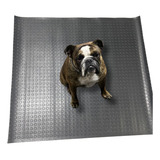Piso De Borracha Formato Moeda Anti Ruido 3mm 6.00x1.00