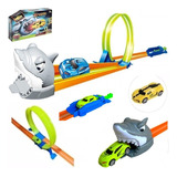 Pista Tubarão Looping Radical Tipo Hotwheels Com Carrinho