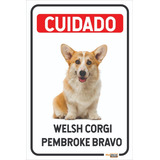 Placa Cuidado Cão Bravo Welsh Corgi