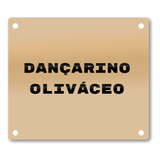 Identificação
