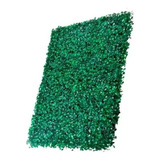 Placa De Grama 40x60 Kit 12 Uni Com Buchinhos Verdes Paredes