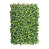 Placa De Mini Samambaia 40x60 Jardim Muro Vertical C/ 10 Un