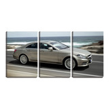 Placa Decorativa 45x96 Mercedes Na Estrada Perto Do Mar