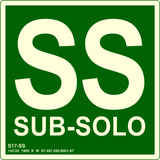 Placa Fotoluminescente S17-ss Sub-solo 16cm X 16cm