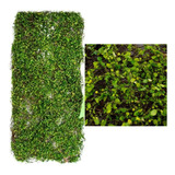 Placa Grama Jardim Muro Inglês Parede 40x90 Kit C/ 10 Un 
