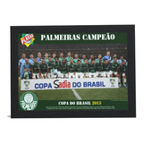 Placa Mdf Palmeiras Campeão Copa Do Brasil 2015
