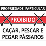 Pássaros