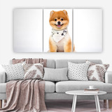 Pomerania